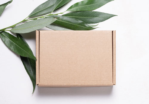 Eco-friendly biodegradable boxes