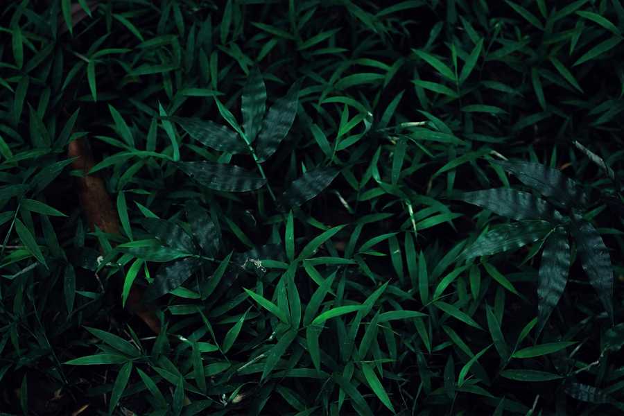 Dedykowane strony internetowe – poznaj jakie korzyści przynoszą!