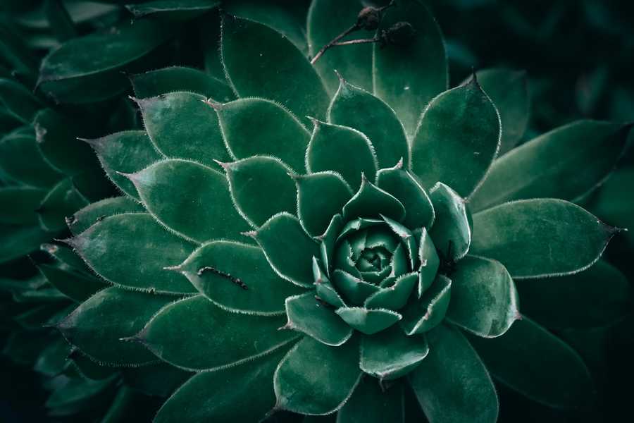 10 powodów, dla których graficy powinni znać HTML i CSS — przewaga projektanta XXI wieku