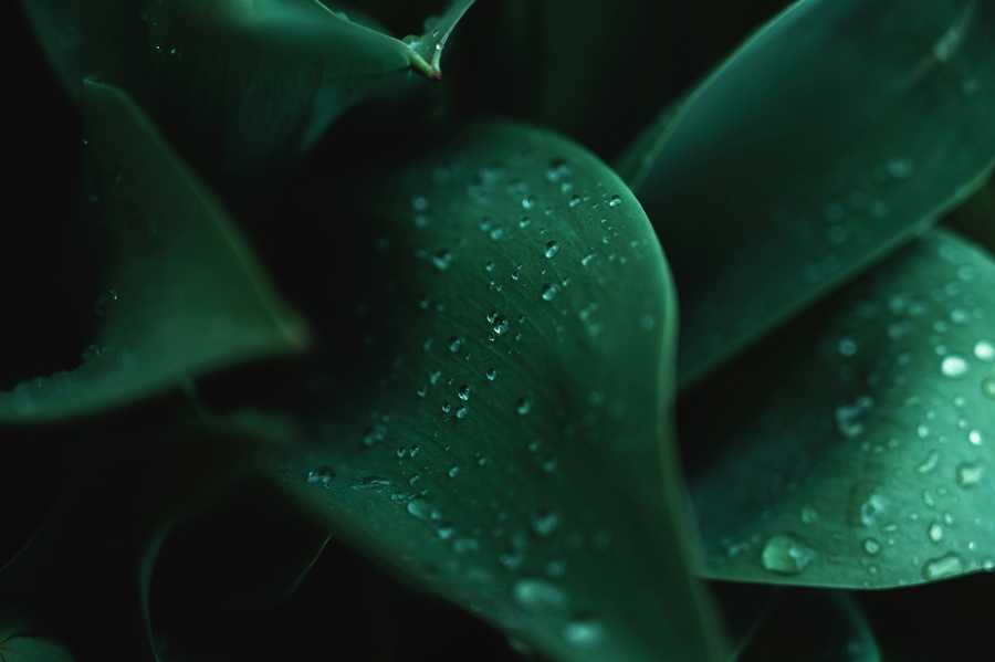 Neumorfizm – nowy trend w UI/UX – przewodnik dla projektantów i deweloperów