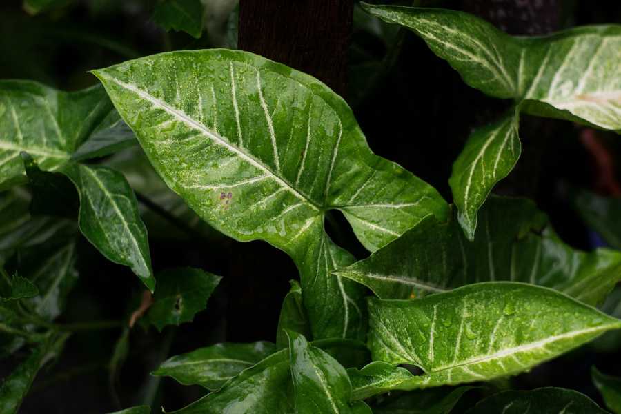 Systemy CMS – czym są i jaki wybrać?