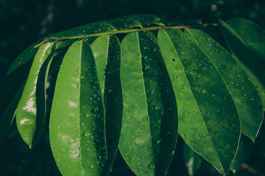 Jak ozdobić pudełko na prezent – praktyczne wskazówki