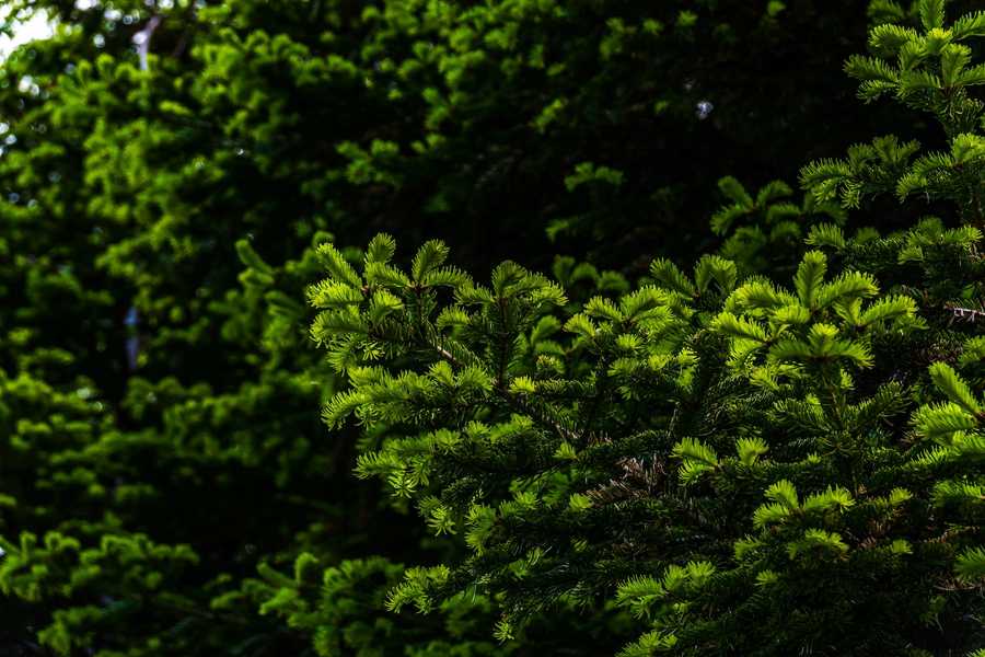 Praca agencji marketingowej – jak działamy